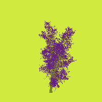 greenshift tree
