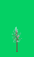 greenshift tree