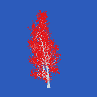 greenshift tree