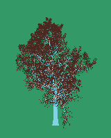 greenshift tree