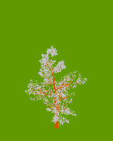 greenshift tree