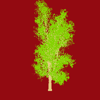 greenshift tree