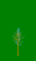 greenshift tree