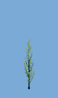 greenshift tree