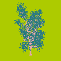greenshift tree