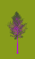 greenshift tree