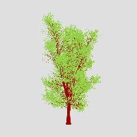 greenshift tree
