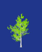 greenshift tree
