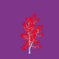 greenshift tree