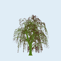 greenshift tree