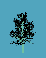 greenshift tree