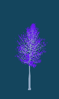 greenshift tree