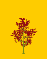 greenshift tree