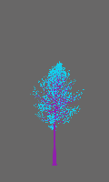 greenshift tree
