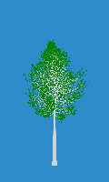 greenshift tree