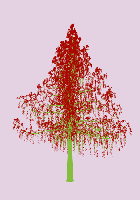 greenshift tree