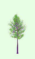 greenshift tree