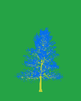 greenshift tree