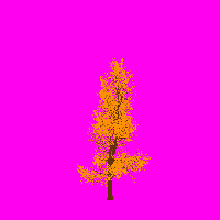 greenshift tree