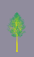 greenshift tree