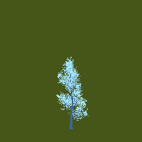 greenshift tree