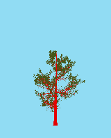 greenshift tree