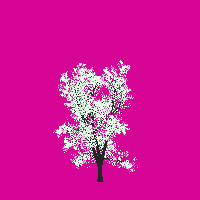 greenshift tree