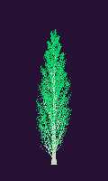 greenshift tree
