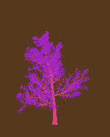greenshift tree