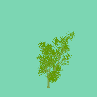 greenshift tree