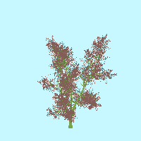 greenshift tree