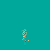 greenshift tree