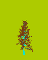 greenshift tree