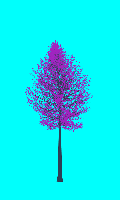 greenshift tree