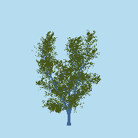 greenshift tree