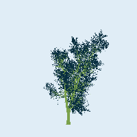 greenshift tree