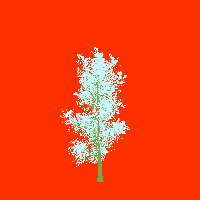 greenshift tree