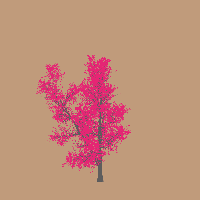 greenshift tree