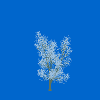 greenshift tree