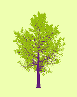 greenshift tree