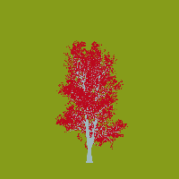 greenshift tree