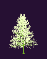 greenshift tree