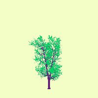 greenshift tree
