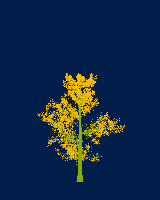 greenshift tree