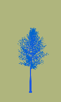 greenshift tree