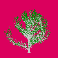 greenshift tree