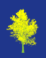 greenshift tree
