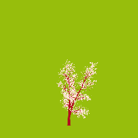 greenshift tree