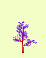 greenshift tree