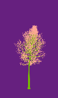 greenshift tree